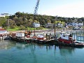 Mackinaw Island Area May 2008 0229